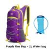 Purple 2LWater bag