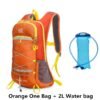 Orange 2LWater bag